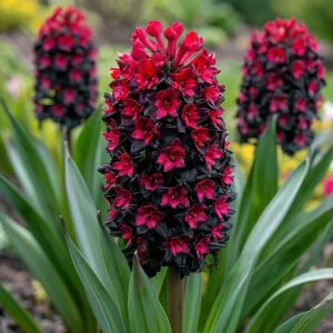 Гиацинт Джем Стоун купить по цене от 2099р. в интернет-магазине «Посадика» с доставкой почтой в в Кызыле и по всей России – [изображение №1].