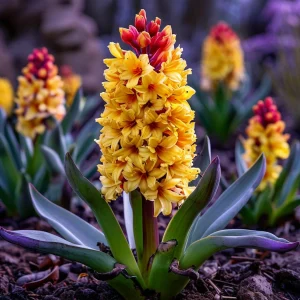 Гиацинт Миднайт Мистери купить по цене от 2099р. в интернет-магазине «Посадика» с доставкой почтой в в Кызыле и по всей России – [изображение №1].