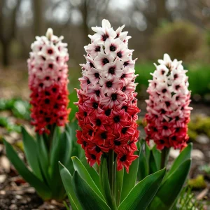 Гиацинт Скай Гарден купить по цене от 2099р. в интернет-магазине «Посадика» с доставкой почтой в в Кызыле и по всей России – [изображение №1].